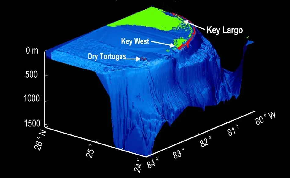 #12 The Florida Reef Tract and Fossil Coral Ridges: Built by a Different Sea (By NOAA National Marine Fisheries Servie, Public domain)
