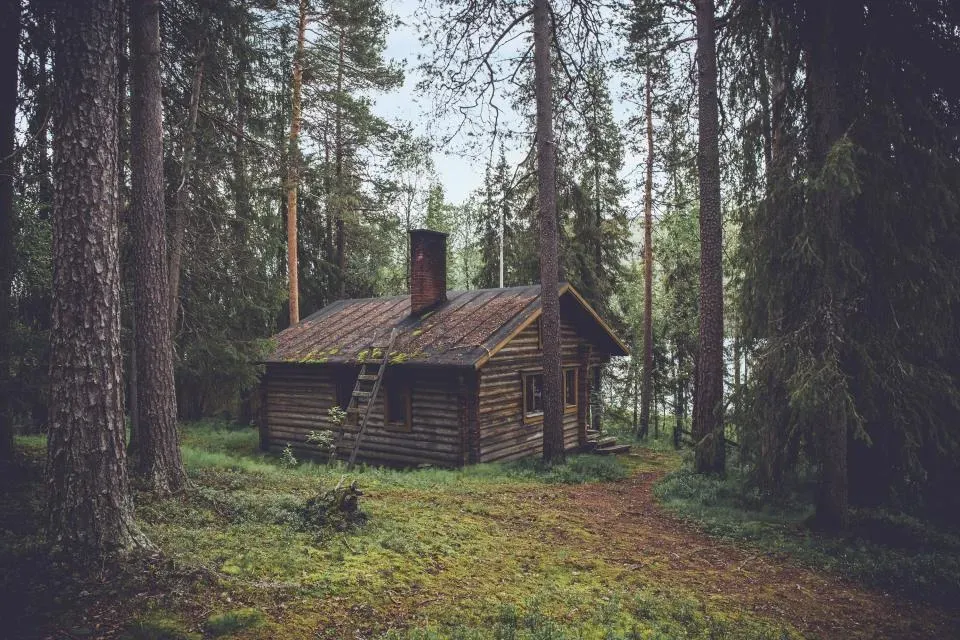 #11 - The "Lost City" That Was Just A Logging Camp (Image Credits: Stocksnap)