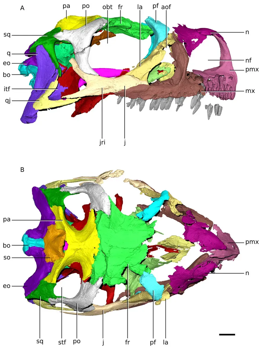 3D Scanning and Printing: Holding Prehistory in Your Hands (By Kimberley E.J. Chapelle, CC BY 4.0)