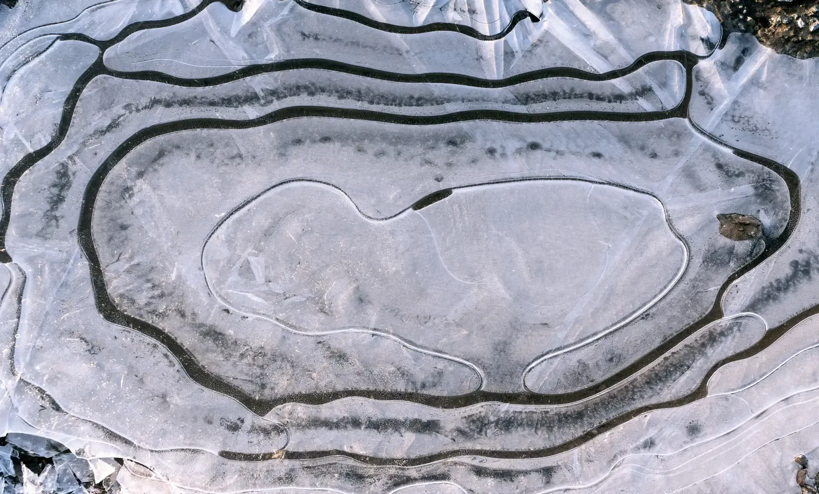 The Incredible Seed Bank Locked in Ice (Image Credits: Wikimedia)