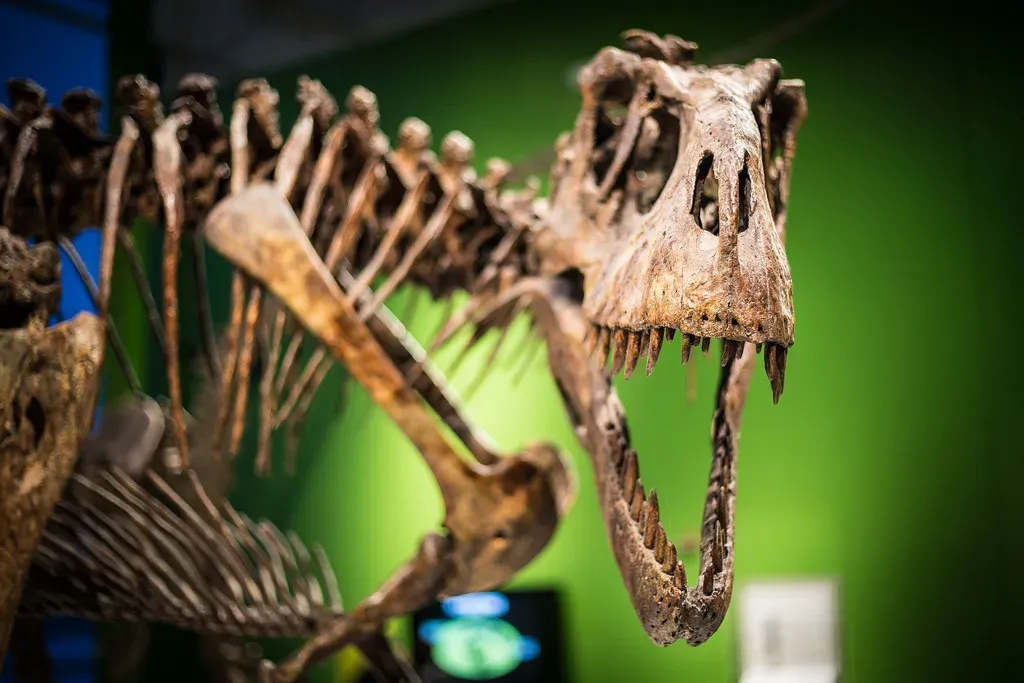Why T. Rex Still Fascinates You Today (Phil Roeder, Flickr, CC BY 2.0)