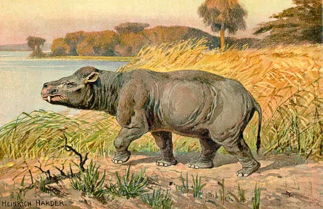 5. Prehistoric Mammals Hit the Beach 58 Million Years Ago (Image Credits: Wikimedia)