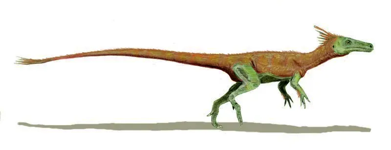 Juravenator Starki: Touch-Sensitive Scales for Nocturnal Foraging (Image Credits: Wikimedia)