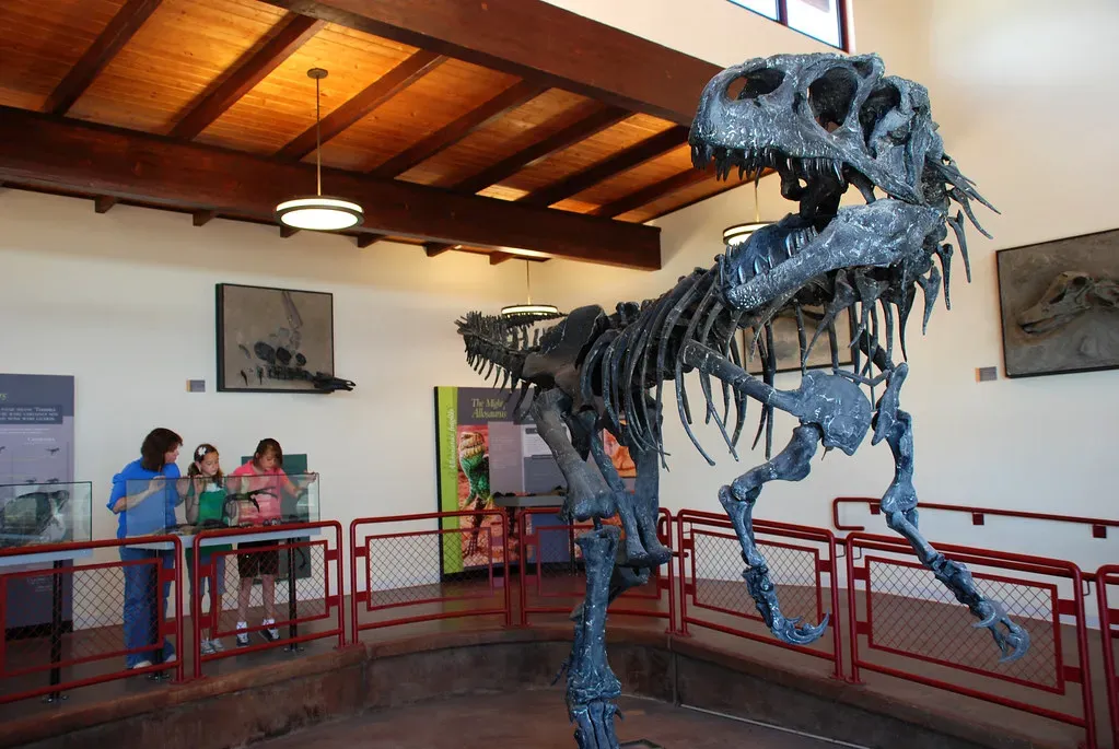 #7 - Bone Density Patterns Reveal How Dinosaurs Lived, Swam, or Flew (mypubliclands, Flickr, CC BY 2.0)
