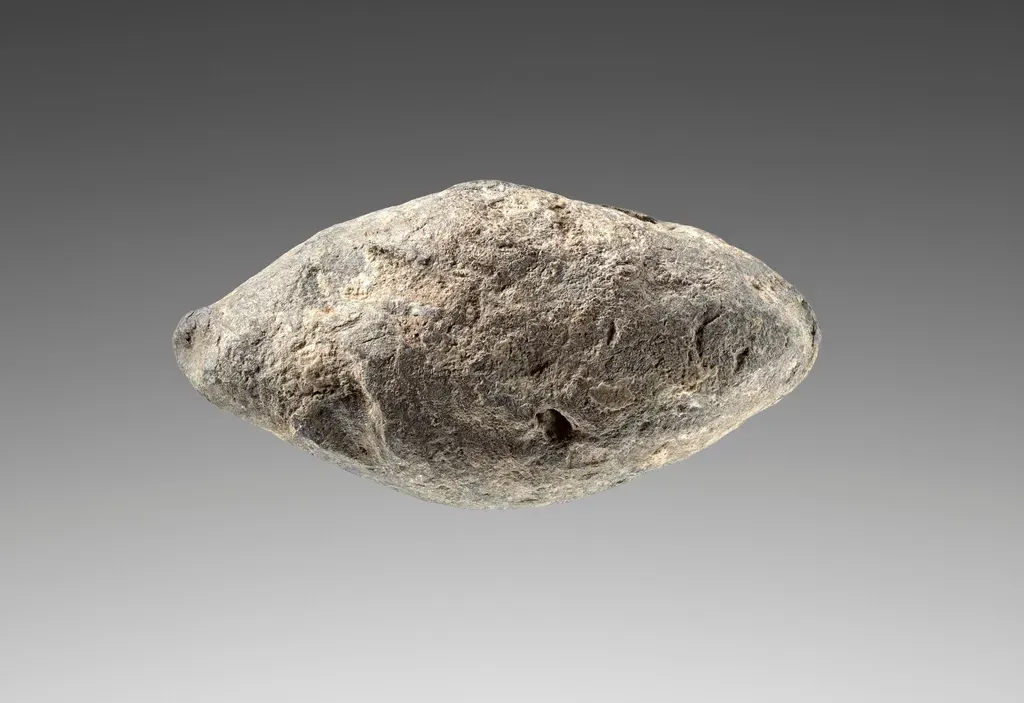 9. Prehistoric Tools Shaped Human Brains and Hands - Literally (Image Credits: Rawpixel)