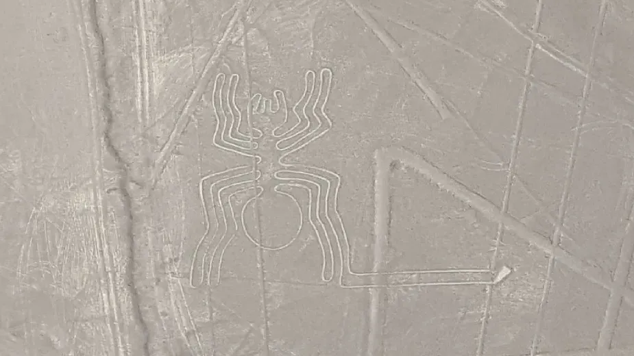 4. The Nazca Lines: Giant Drawings Only the Sky Can See (ines s., Flickr, CC BY 2.0)
