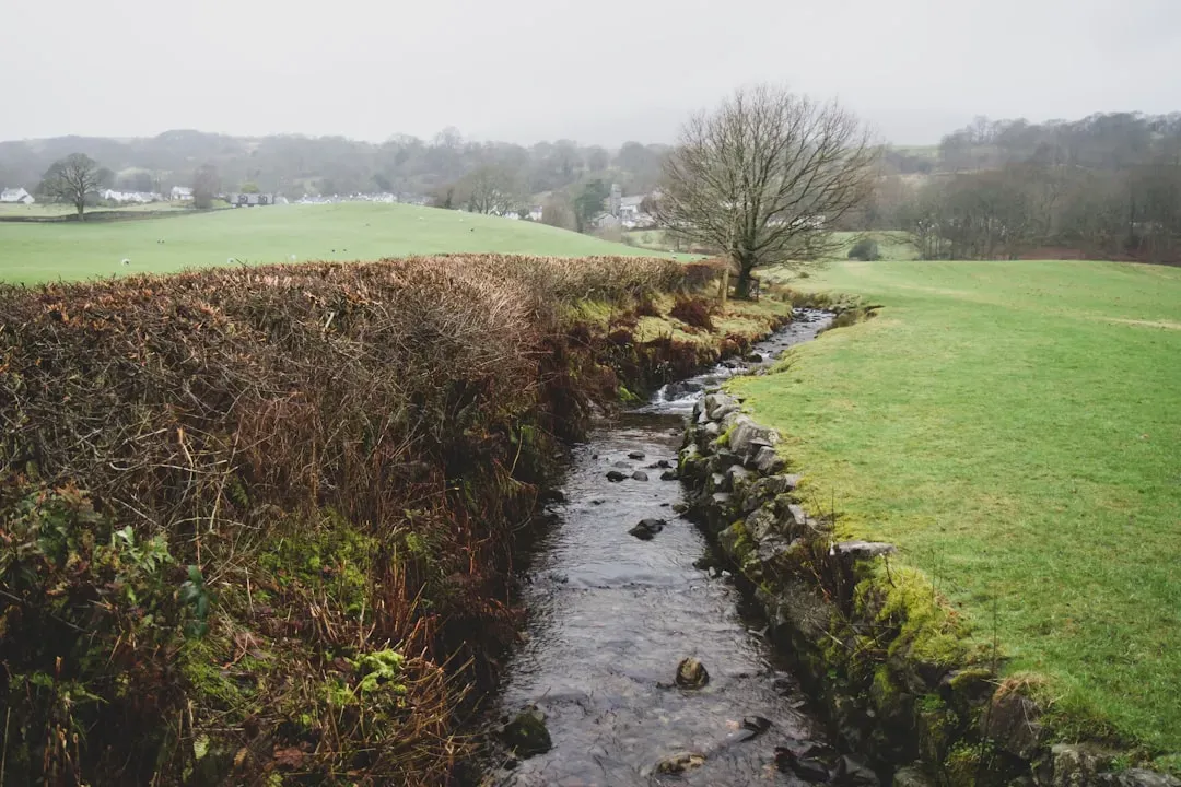 #10 A Ditch Records Subtle Signs of Erosion and Land Degradation (Image Credits: Unsplash)