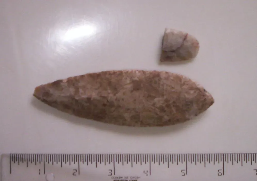 The Clovis People's Diet Was Nothing Like You'd Expect (No machine-readable source provided. Own work assumed (based on copyright claims)., Public domain)