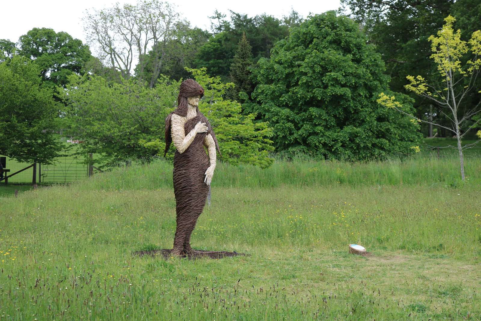 Cancer: The Enchanting Selkie (Image Credits: Wikimedia)