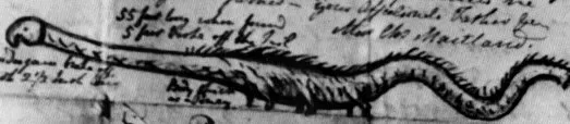 #19 - The Stronsay Beast That Earned Its Own Fake Species Name (By Sir Alexander Gibson, Public domain)