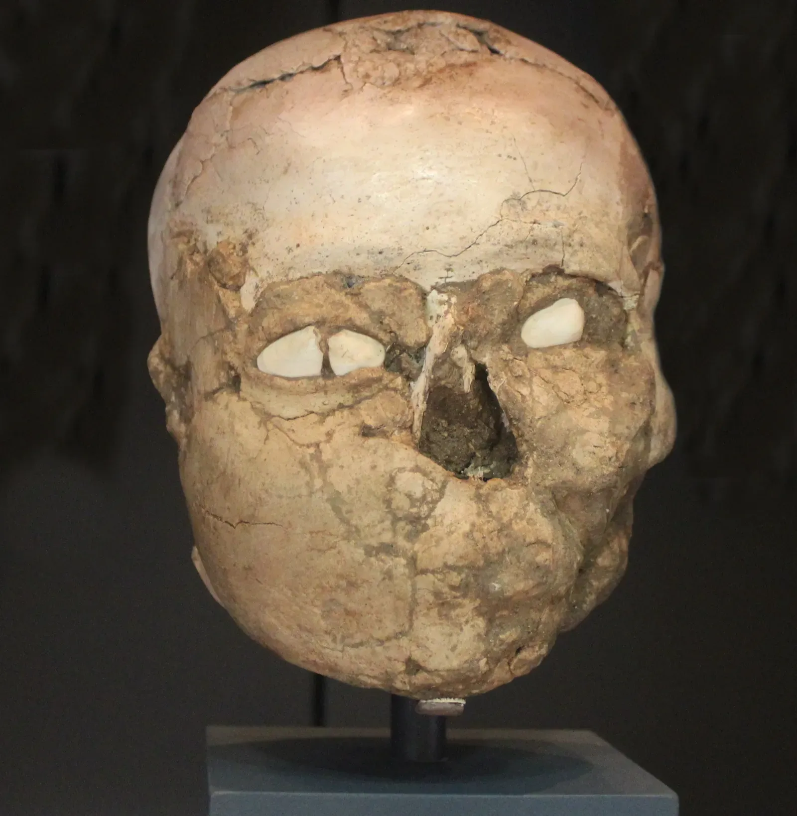 #13 - The "Too-Early" Plastered Skulls of Jericho (Image Credits: Wikimedia)