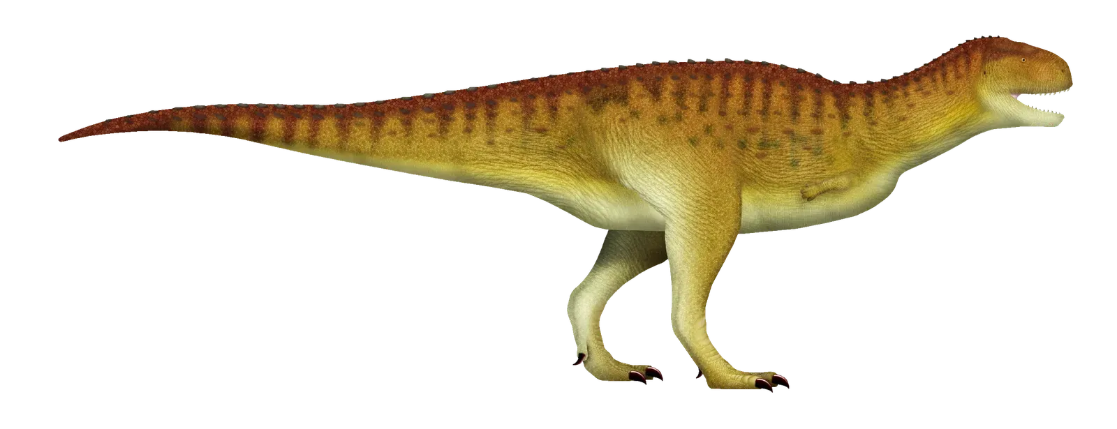 Koleken Inakayali: A Brand-New Face From the Past (Image Credits: Wikimedia)