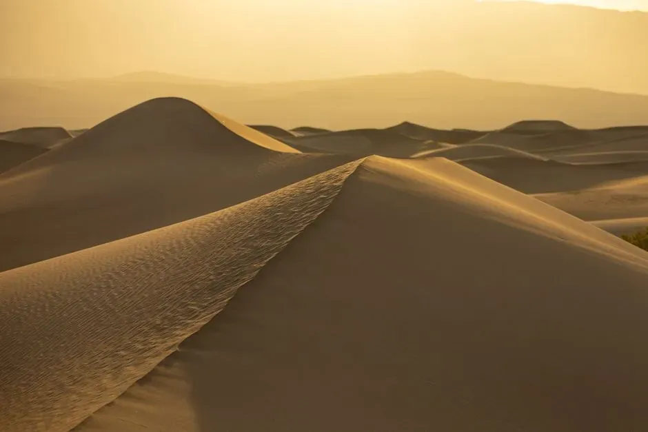 #7 - Color Bands Inside a Dune Can Act as Natural Time Stamps (Image Credits: Pexels)