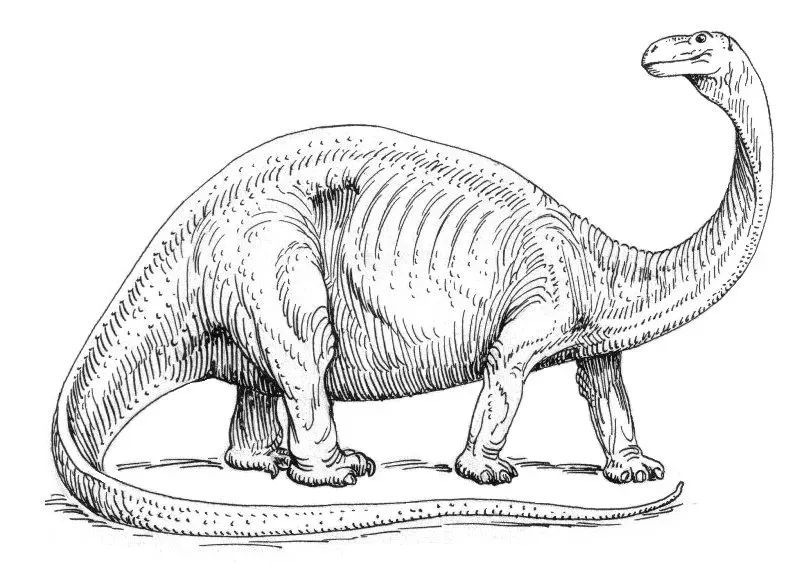 The Legend of Mokele-Mbembe: Africa's Most Famous Dinosaur (Image Credits: Wikimedia)