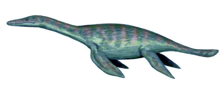 Liopleurodon: Speed and Stealth in Jurassic Waters (Image Credits: Wikimedia)