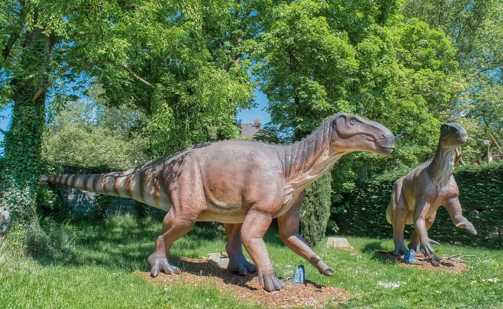 Island Isolation Created Unique Size Changes (Image Credits: Flickr)