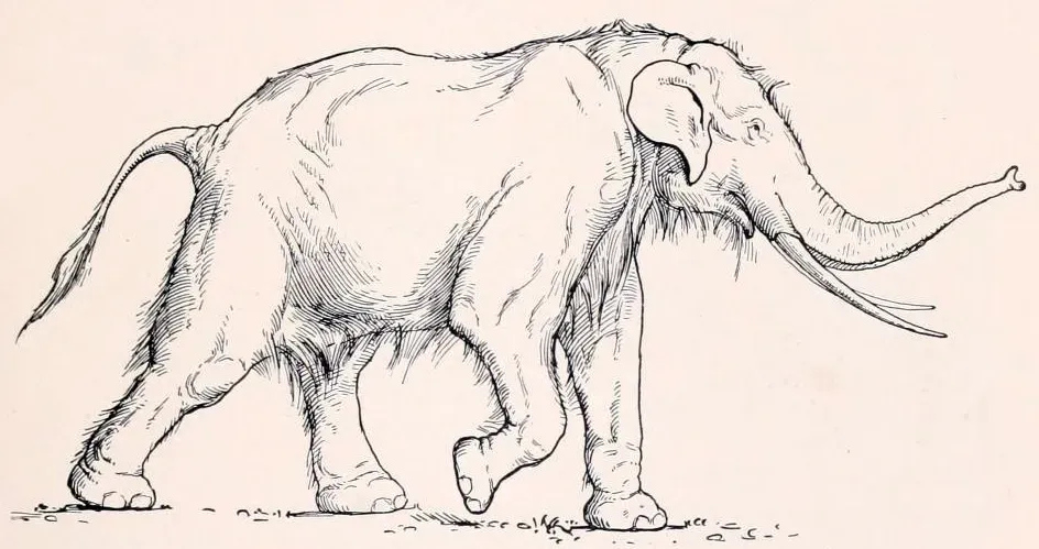 #4 - The Straight-Tusked Elephant Echoes (By Erwin S. Christman, published by H. Osborn, 'Men of the Old Stone Age', Public domain)