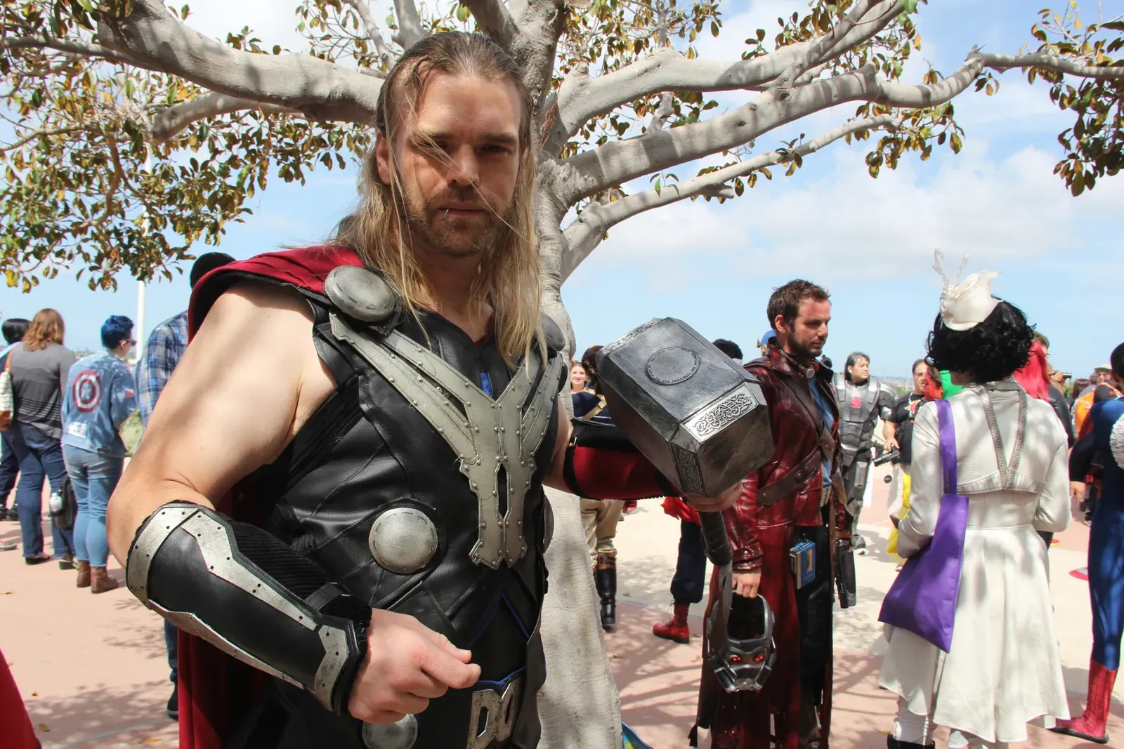 Taurus: Thor (Image Credits: Wikimedia)