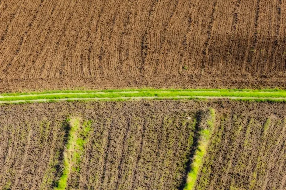 #1 - It Stripped Away Generations of Topsoil in a Few Short Years (Image Credits: Pexels)