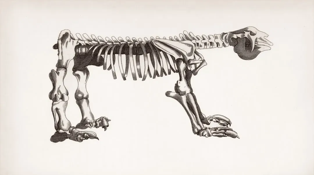 #9 - The Giant Ground Sloth: Bigger Than a Rhino, Yet Somehow Erased (Image Credits: Unsplash)