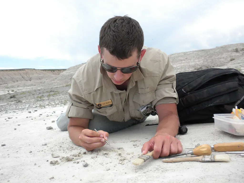 How Erosion Becomes Your Personal Paleontologist (Image Credits: Flickr)