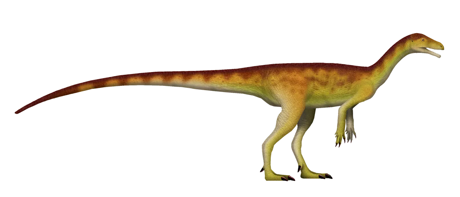 North America's Oldest Dinosaur Changes the Origin Story (Image Credits: Wikimedia)