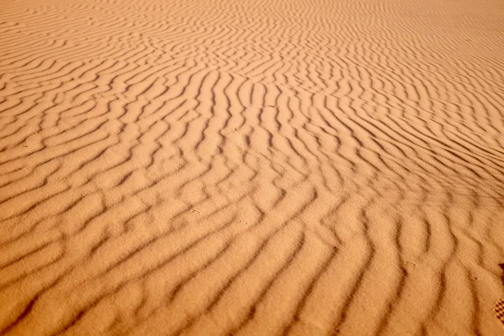 #9 - Surface Ripples Record the Most Recent Chapters of Wind Behavior (Image Credits: Rawpixel)
