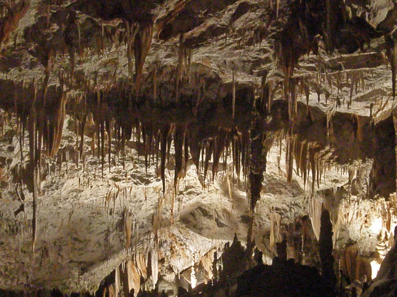 9. Karst Landscapes and Cave Systems: Hidden Worlds Below the Forest (Postojna Cave, CC BY-SA 2.0)