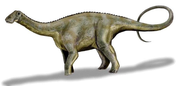 Nigersaurus: The Mesozoic Lawn Mower (Image Credits: Wikimedia)