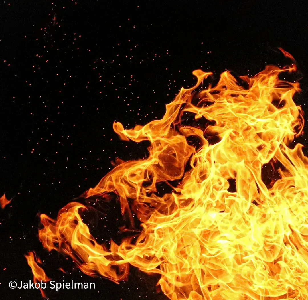 Leo – Fire That Shines and Commands (Image Credits: Unsplash)