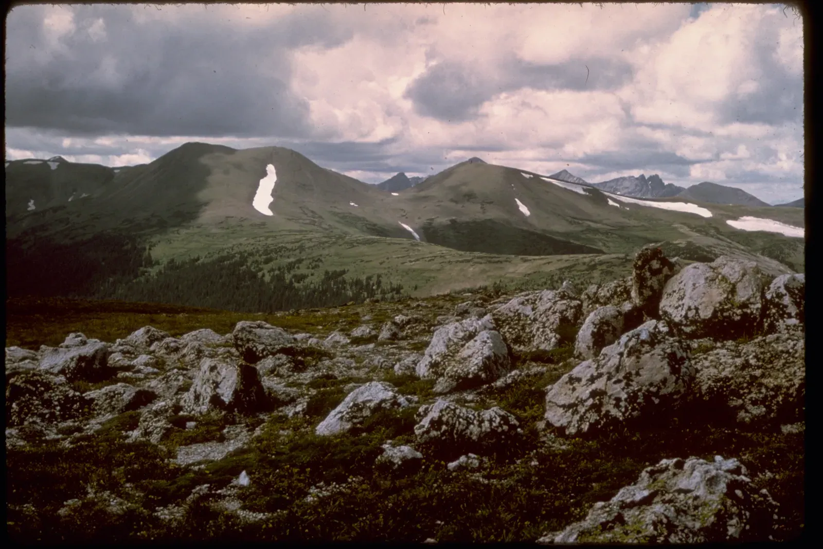 The Formation of the Rocky Mountains: A Geological Puzzle (Image Credits: Wikimedia)