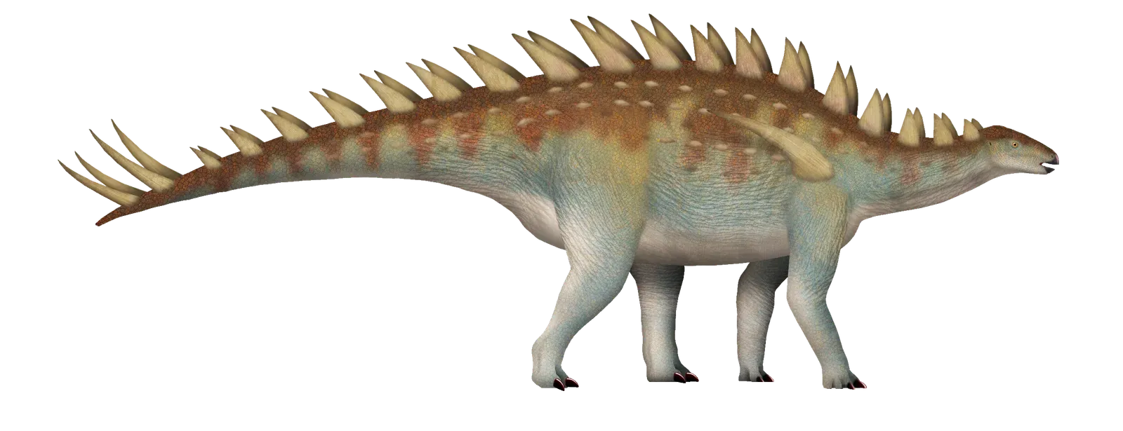 4. Baiyinosaurus: The Quiet, Armored Grazer from Jurassic China (By TotalDino, CC BY 4.0)