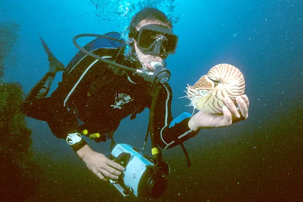 New Pressures: Fishing, Shell Trade, and Climate Change (By w:en:Aquaimages (talk | contribs), CC BY-SA 2.5)