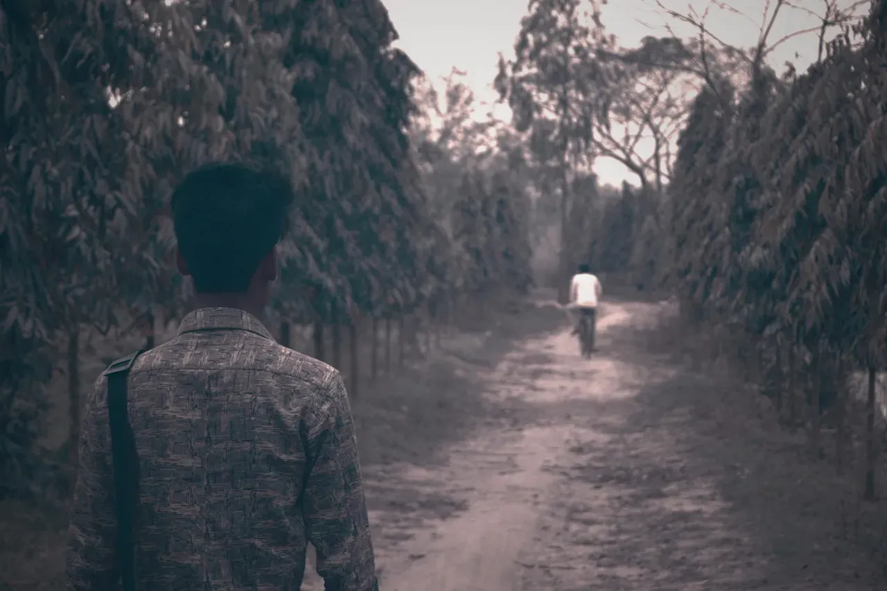 They Suddenly Become Masters of Avoidance (Image Credits: Pixabay)