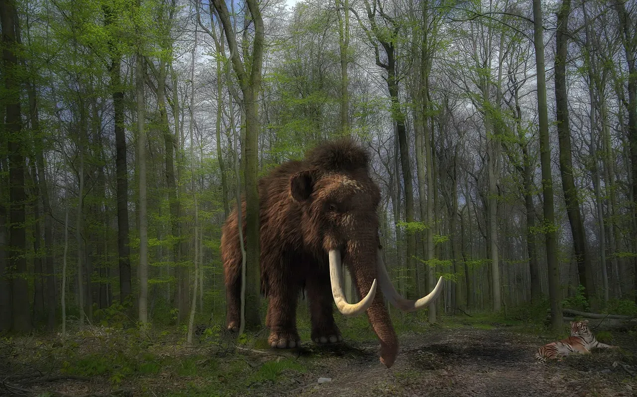 How Disappearing Mammoths Actually Warmed the Planet (Image Credits: Pixabay)