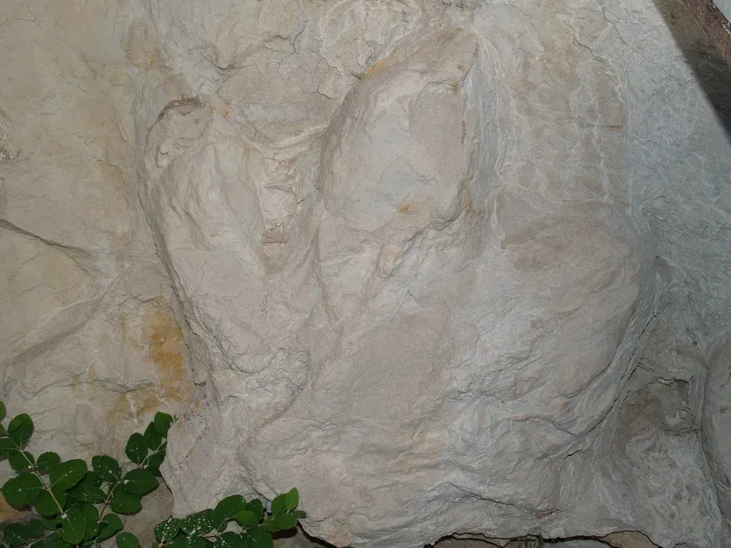 Conclusion: The Most Underrated Window into the Prehistoric World (stevehicks, Flickr, CC BY 2.0)