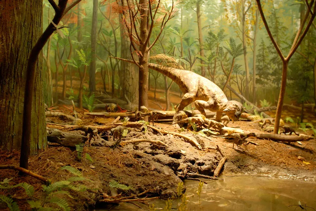 Rethinking Everything We Thought We Knew (Image Credits: Flickr)