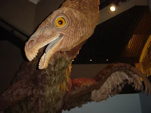 4. Some Dinosaurs Had Binocular Vision Comparable to Modern Raptors (Feathered Dinosaurs 3, CC BY-SA 2.0)