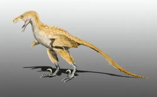 Bambiraptor: The Feathered Teenager Who Changed Everything (Image Credits: Wikimedia)