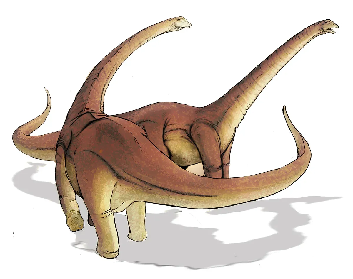 Alamosaurus: The Late Cretaceous Survivor (Image Credits: Wikimedia)