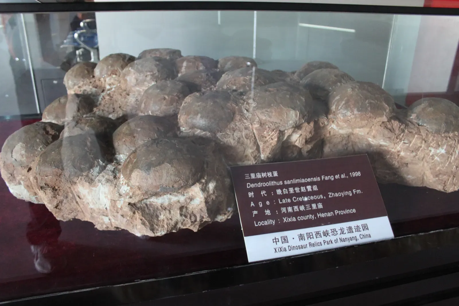 The Oldest Known Dinosaur Nesting Site Proves Parenting Goes Way Back (Image Credits: Wikimedia)