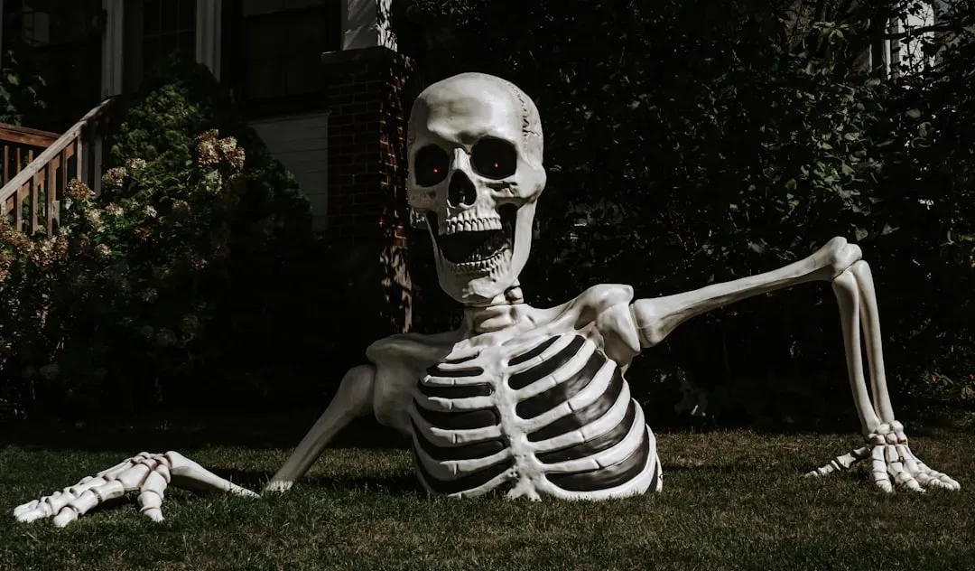 The “Giant” Skeletons of Ancient Greece and Rome (Image Credits: Unsplash)