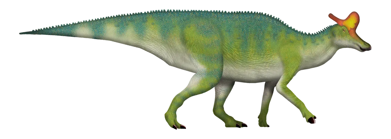 Lambeosaurus: The Hatchet Head (Image Credits: Wikimedia)