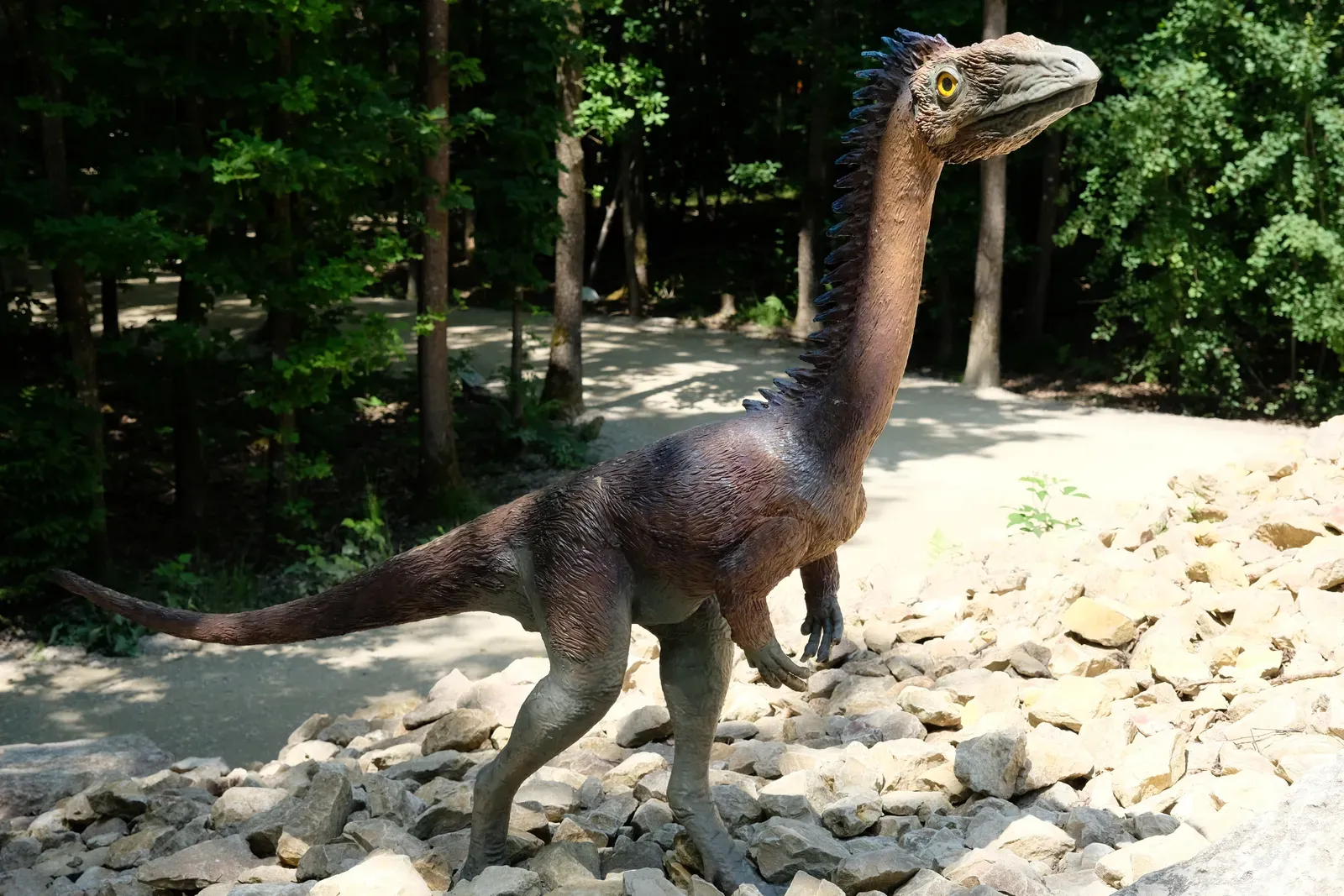 Coelophysis: Early Evidence of Group Living in Triassic Dinosaurs (Image Credits: Wikimedia)