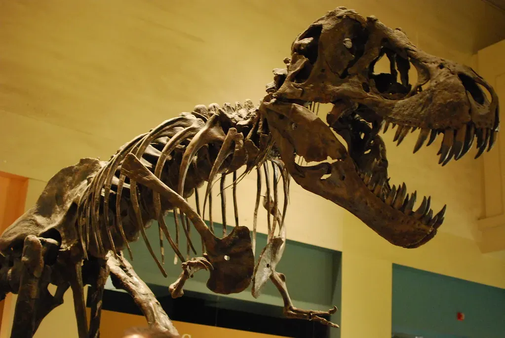 North Dakota: The Overlooked Contributor (Image Credits: Flickr)