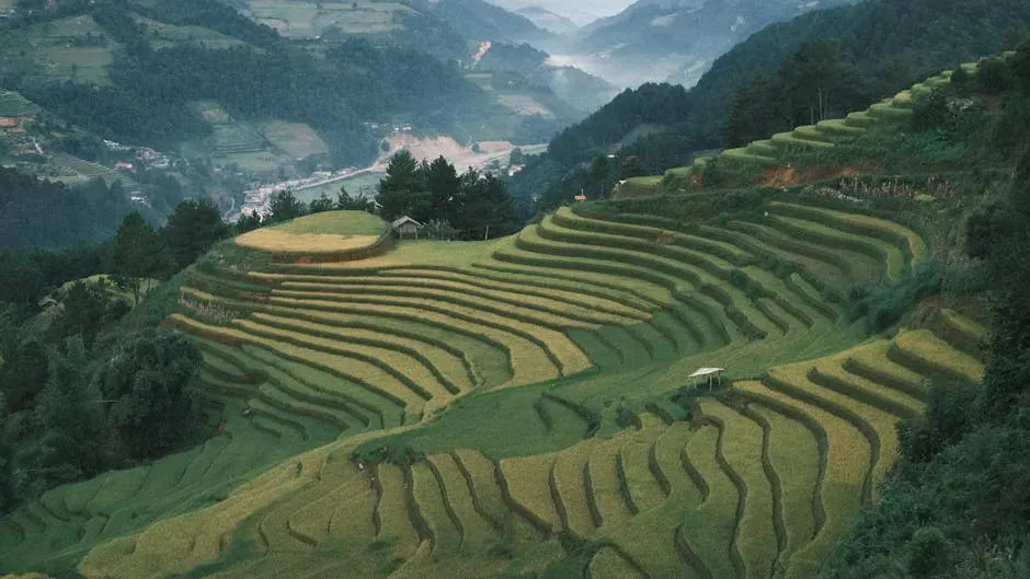 10. Shaping the Environment With Terraces, Canals, and Earthworks (Image Credits: Pexels)