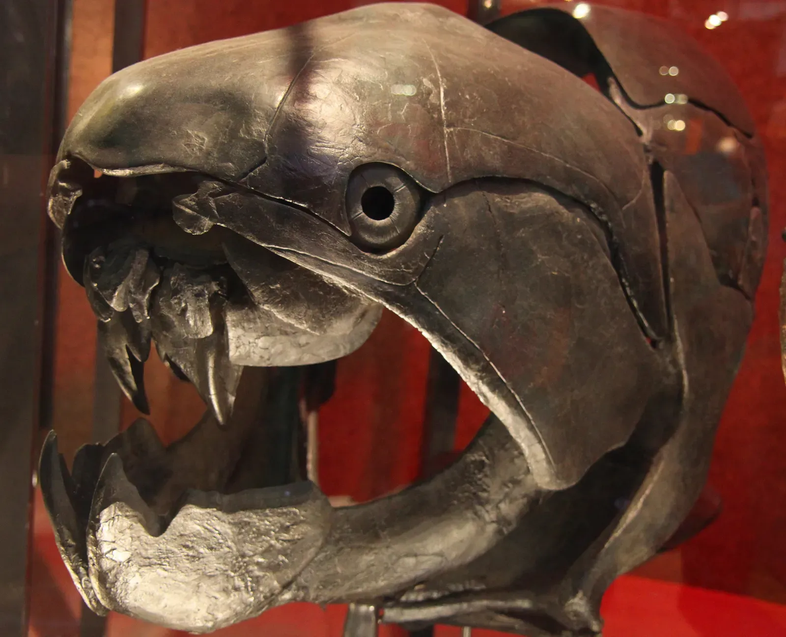 Virgo – The Precision That Outsmarts the Sabre-Toothed Salmon (By Tim Evanson, CC BY-SA 2.0)