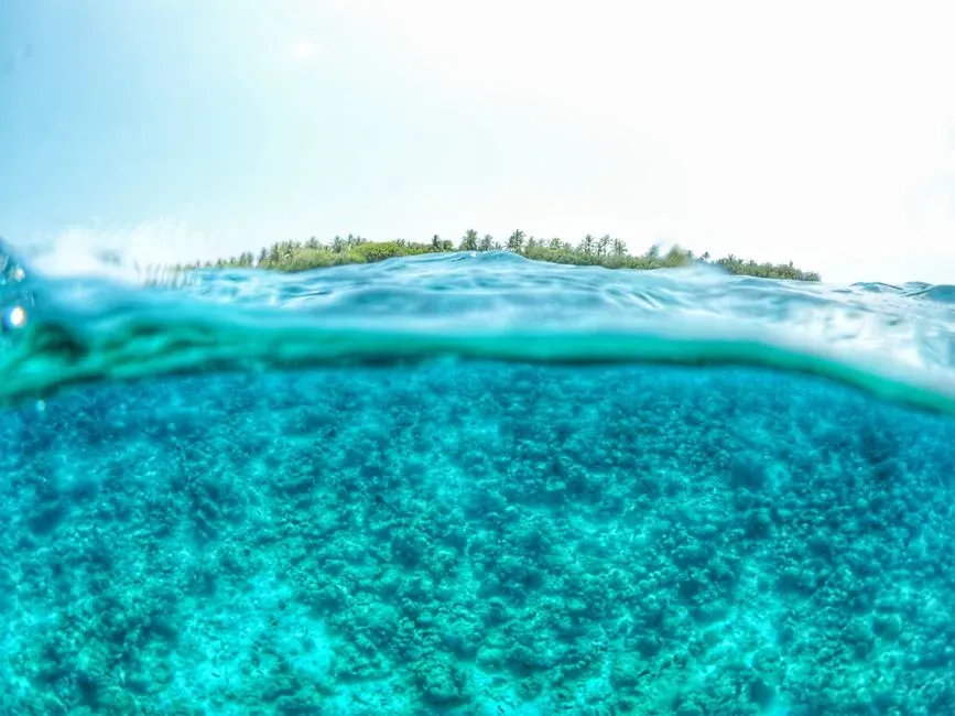 Shorelines, Sea-Level Swings, and the Coastal Brain Boost (Image Credits: Pexels)