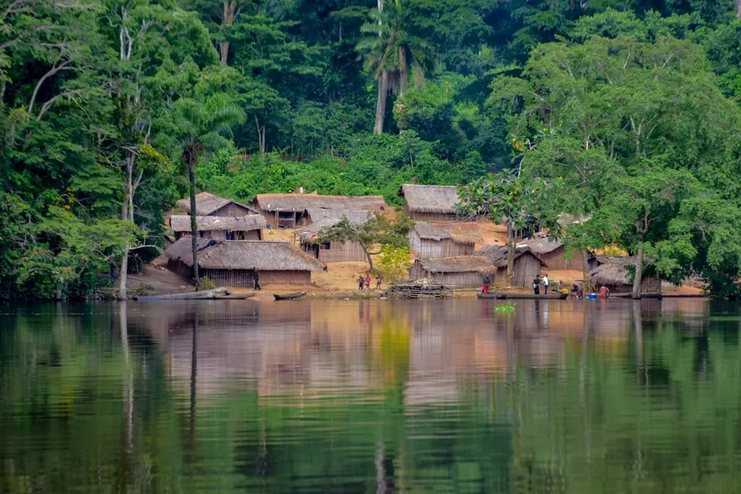 The Creationist Connection and Hidden Agendas (Image Credits: Unsplash)