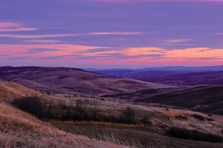 How This Changes Our Picture of Life’s Story (Image Credits: Pexels)
